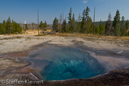 Lemon Spring, Firehole Lake Drive, Yellowstone NP, USA 01