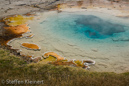 Silex Spring, Fountain Paint Pots Area, Yellowstone NP, USA 05