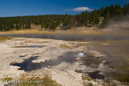 Young Hopeful Geyser, Firehole Lake Drive, Yellowstone NP, USA 24