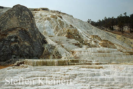 Yellowstone NP - Mammoth Hot Springs - Palette Spring 003