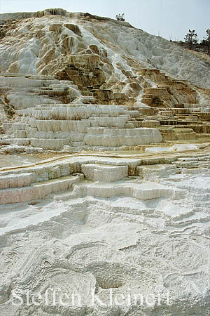 Yellowstone NP - Mammoth Hot Springs - Palette Spring 004