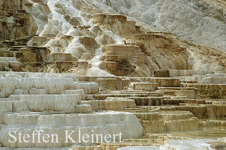 Yellowstone NP - Mammoth Hot Springs - Palette Spring 005