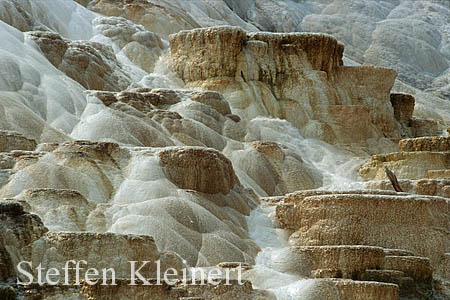 Yellowstone NP - Mammoth Hot Springs - Palette Spring 006