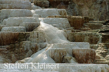 Yellowstone NP - Mammoth Hot Springs - Palette Spring 011