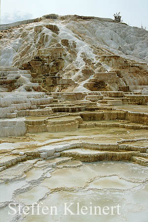 Yellowstone NP - Mammoth Hot Springs - Palette Spring 014