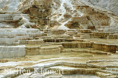 Yellowstone NP - Mammoth Hot Springs - Palette Spring 015