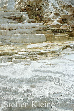 Yellowstone NP - Mammoth Hot Springs - Palette Spring 016