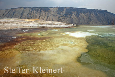 Yellowstone NP - Mammoth Hot Springs - Main Terrace 017