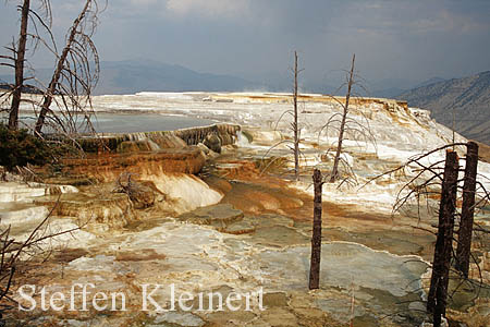 Yellowstone NP - Mammoth Hot Springs - Canary Spring 019