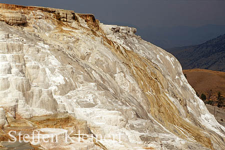 Yellowstone NP - Mammoth Hot Springs - Canary Spring 023