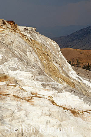 Yellowstone NP - Mammoth Hot Springs - Canary Spring 025