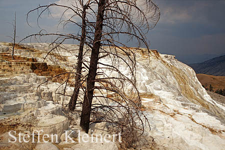 Yellowstone NP - Mammoth Hot Springs - Canary Spring 027