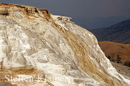Yellowstone NP - Mammoth Hot Springs - Canary Spring 028