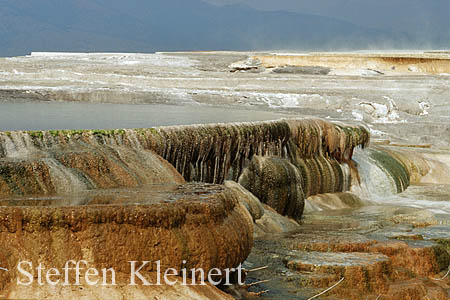 Yellowstone NP - Mammoth Hot Springs - Canary Spring 029