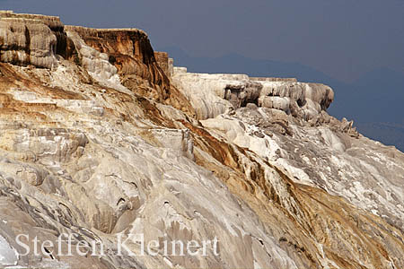 Yellowstone NP - Mammoth Hot Springs - Canary Spring 036