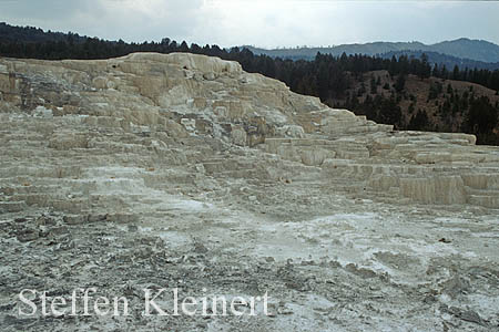 Yellowstone NP - Mammoth Hot Springs - Minerva Terrace 040