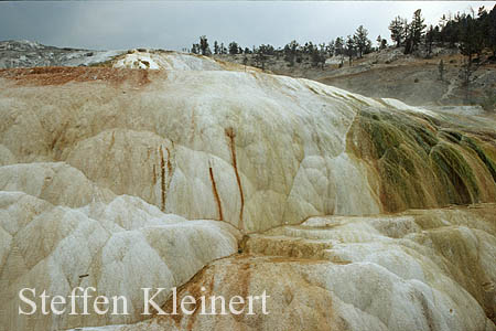 Yellowstone NP - Mammoth Hot Springs - Hymen Terrace 042