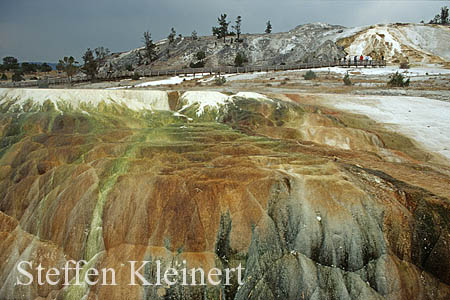 Yellowstone NP - Mammoth Hot Springs - Hymen Terrace 044