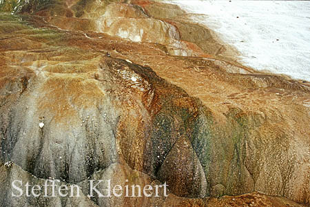 Yellowstone NP - Mammoth Hot Springs - Hymen Terrace 045