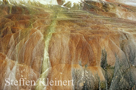 Yellowstone NP - Mammoth Hot Springs - Hymen Terrace 046