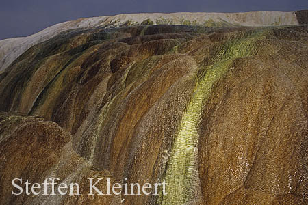 Yellowstone NP - Mammoth Hot Springs - Hymen Terrace 053