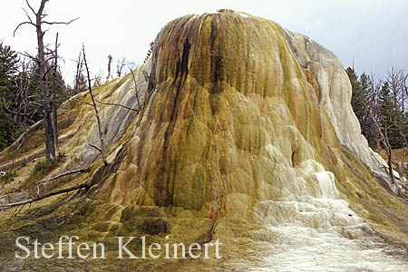 Yellowstone NP - Mammoth Hot Springs - Orange Spring Mound 054