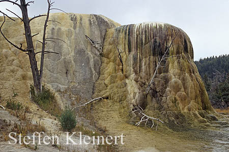 Yellowstone NP - Mammoth Hot Springs - Orange Spring Mound 055