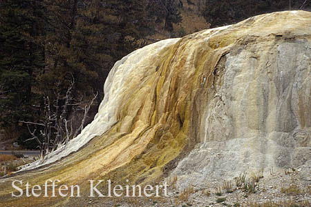 Yellowstone NP - Mammoth Hot Springs - Orange Spring Mound 058