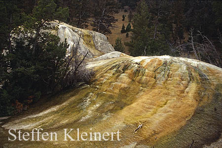 Yellowstone NP - Mammoth Hot Springs - Orange Spring Mound 060