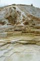 Yellowstone NP - Mammoth Hot Springs 014