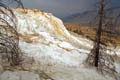 Yellowstone NP - Mammoth Hot Springs 020