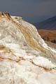 Yellowstone NP - Mammoth Hot Springs 025