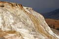 Yellowstone NP - Mammoth Hot Springs 028