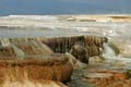 Yellowstone NP - Mammoth Hot Springs 029