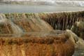 Yellowstone NP - Mammoth Hot Springs 030