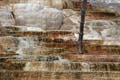 Yellowstone NP - Mammoth Hot Springs 033