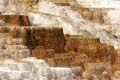 Yellowstone NP - Mammoth Hot Springs 034