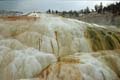 Yellowstone NP - Mammoth Hot Springs 042