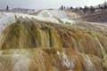 Yellowstone NP - Mammoth Hot Springs 049