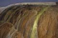 Yellowstone NP - Mammoth Hot Springs 053