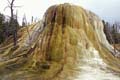 Yellowstone NP - Mammoth Hot Springs 054