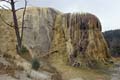 Yellowstone NP - Mammoth Hot Springs 055