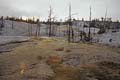 Yellowstone NP - Mammoth Hot Springs 061