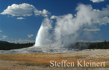 025 Old Faithful Geyser