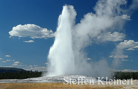 028 Old Faithful Geyser