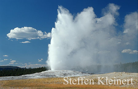 029 Old Faithful Geyser