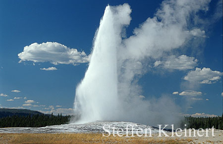 031 Old Faithful Geyser