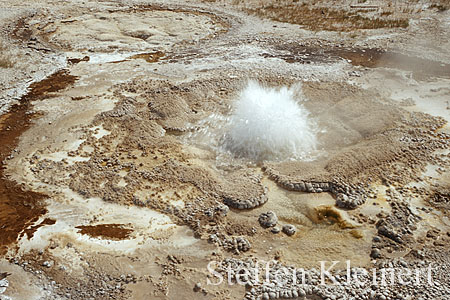 035 Geyser Hill - Anemone Geyser