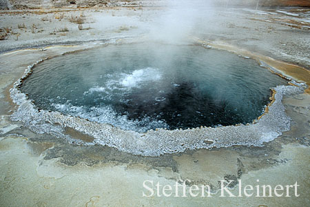 091 Crested Pool