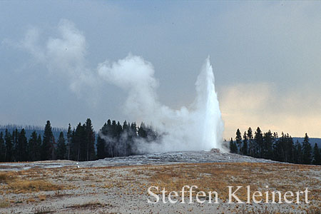 098 Old Faithful Geyser